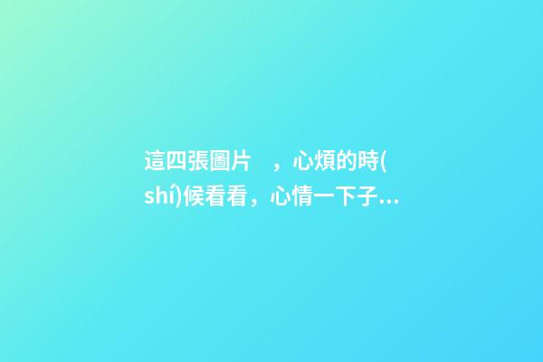 這四張圖片，心煩的時(shí)候看看，心情一下子豁然開朗！